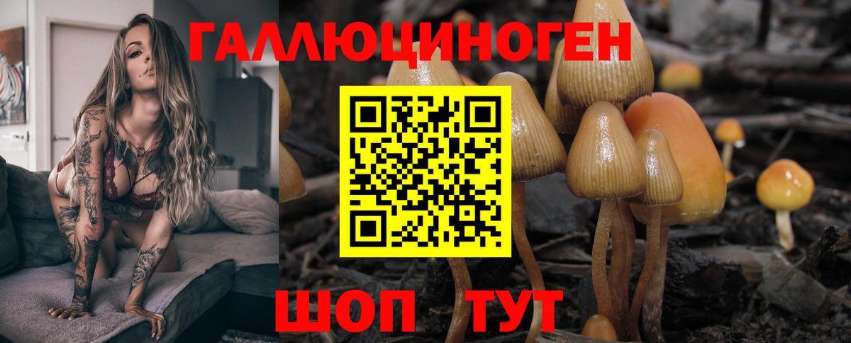 Галлюциногенные грибы Cubensis Учалы